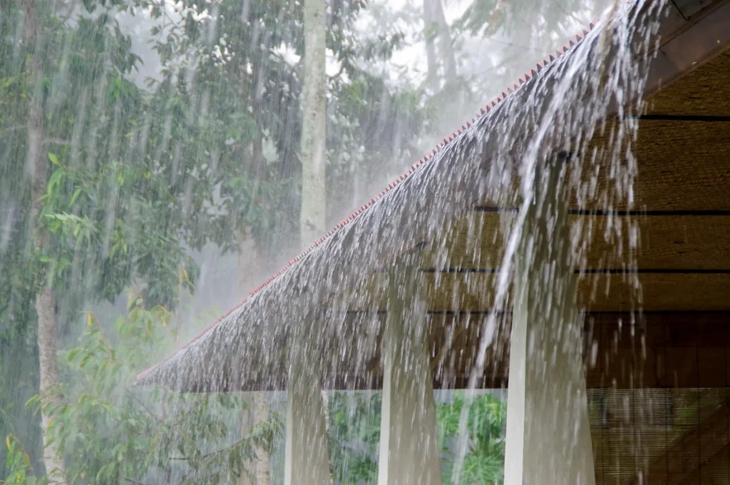 Rain