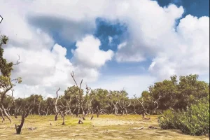 hentalabana