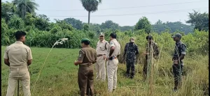 banabibhaga