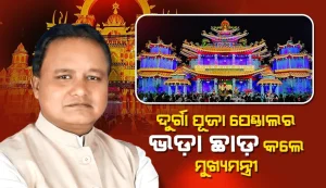 durgapuja12