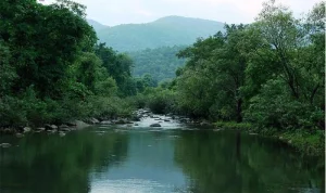 similipal