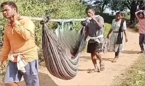 BUHAHELEROGI