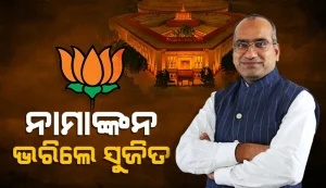 namankana varilesujit