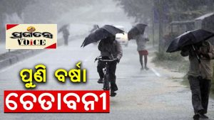puni barsha