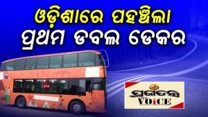 duboll decor bus