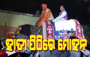 hathi pithire mohana