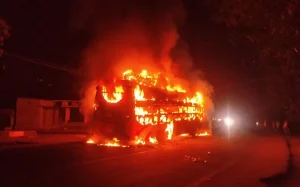 jaligalabus