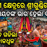 ତୁଳସୀ କ୍ଷେତ୍ରରେ ଶ୍ରୀଗୁଣ୍ଡିଚାଯାତ୍ରା ସେବାୟତଙ୍କ ଭାର ହେଲା ବାଧକଦଶହାତ ଗଡିଲା ବ୍ରହ୍ମ ତାଳଧ୍ୱଜ