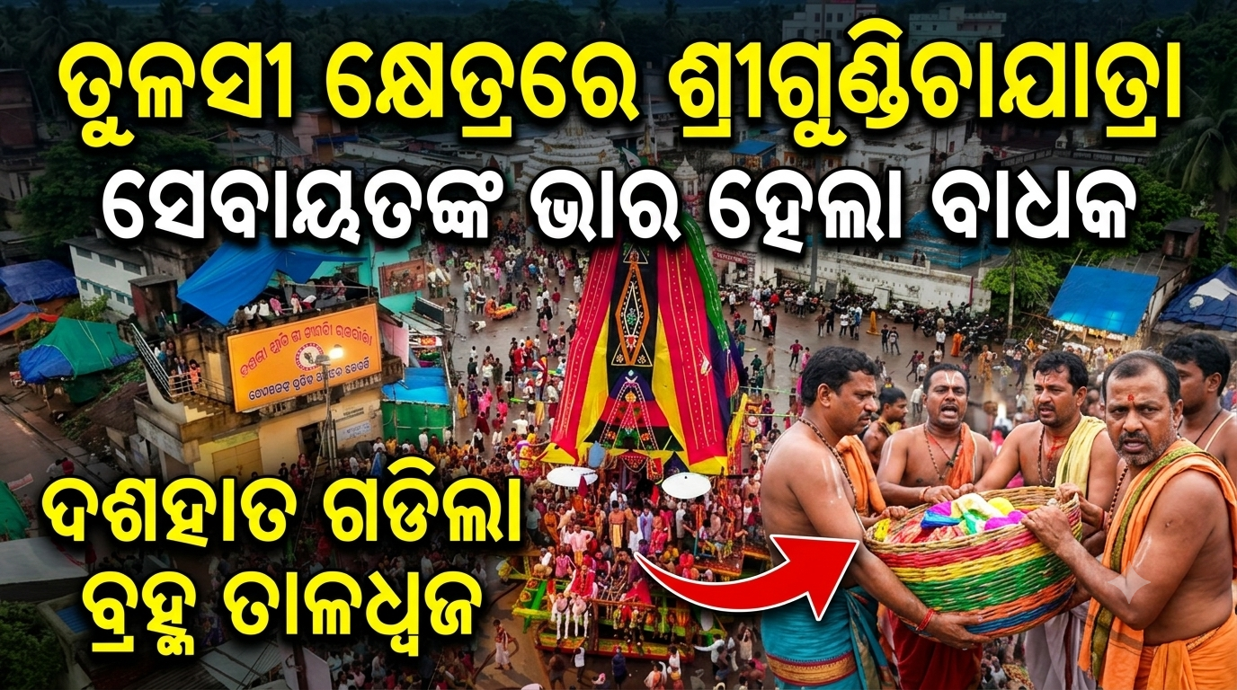 ତୁଳସୀ କ୍ଷେତ୍ରରେ ଶ୍ରୀଗୁଣ୍ଡିଚାଯାତ୍ରା ସେବାୟତଙ୍କ ଭାର ହେଲା ବାଧକଦଶହାତ ଗଡିଲା ବ୍ରହ୍ମ ତାଳଧ୍ୱଜ