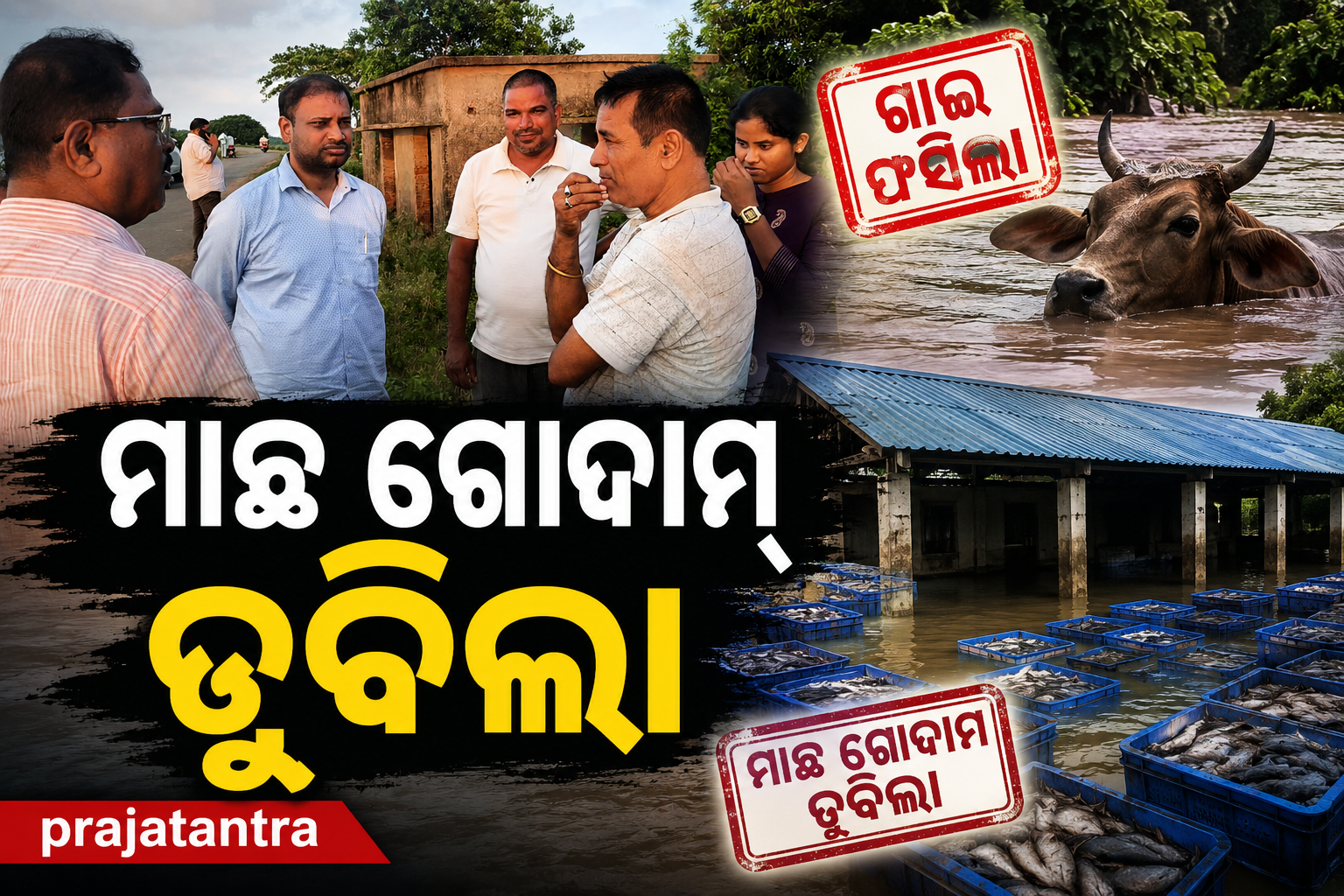ଅସ୍ତରଙ୍ଗ ବନ୍ୟା ରେ ବ୍ଲକ ପ୍ରଶାସନ ନିଖୋଜ, ବିଧାୟକ ଙ୍କ କଡା କଟାକ୍ଷ; ଗାଈ ଫସିଲା, ମାଛ ଗୋଦାମ ଡୁବିଲା, କିନ୍ତୁ ପ୍ରଶାସନ ଆଶ୍ବସ୍ତି ନାହିଁ