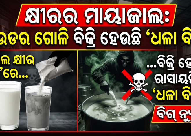 ଅସ୍ତରଙ୍ଗରେ କେମିକାଲ କ୍ଷୀରର ମାୟାଜାଲ: ପାଉଡର ଗୋଳି ବିକ୍ରି ହେଉଛି ‘ଧଳା ବିଷ’
