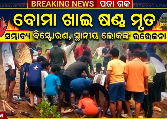 ବାରହା ଶିକାର ପାଇଁ ଖଞ୍ଜା ଯାଇଥିବା  ବୋମା ଖାଇ ଷଣ୍ଢ ମୃତ। 