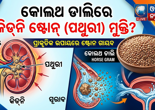 କିଡ୍‌ନି ଷ୍ଟୋନ୍ ସମସ୍ୟାରୁ ମୁକ୍ତି ଦେବ ‘କୋଲଥ ଡାଲି’: ଜାଣନ୍ତୁ ଏହାର ଅଦ୍ଭୁତ ଫାଇଦା ଓ ସେବନ ବିଧି