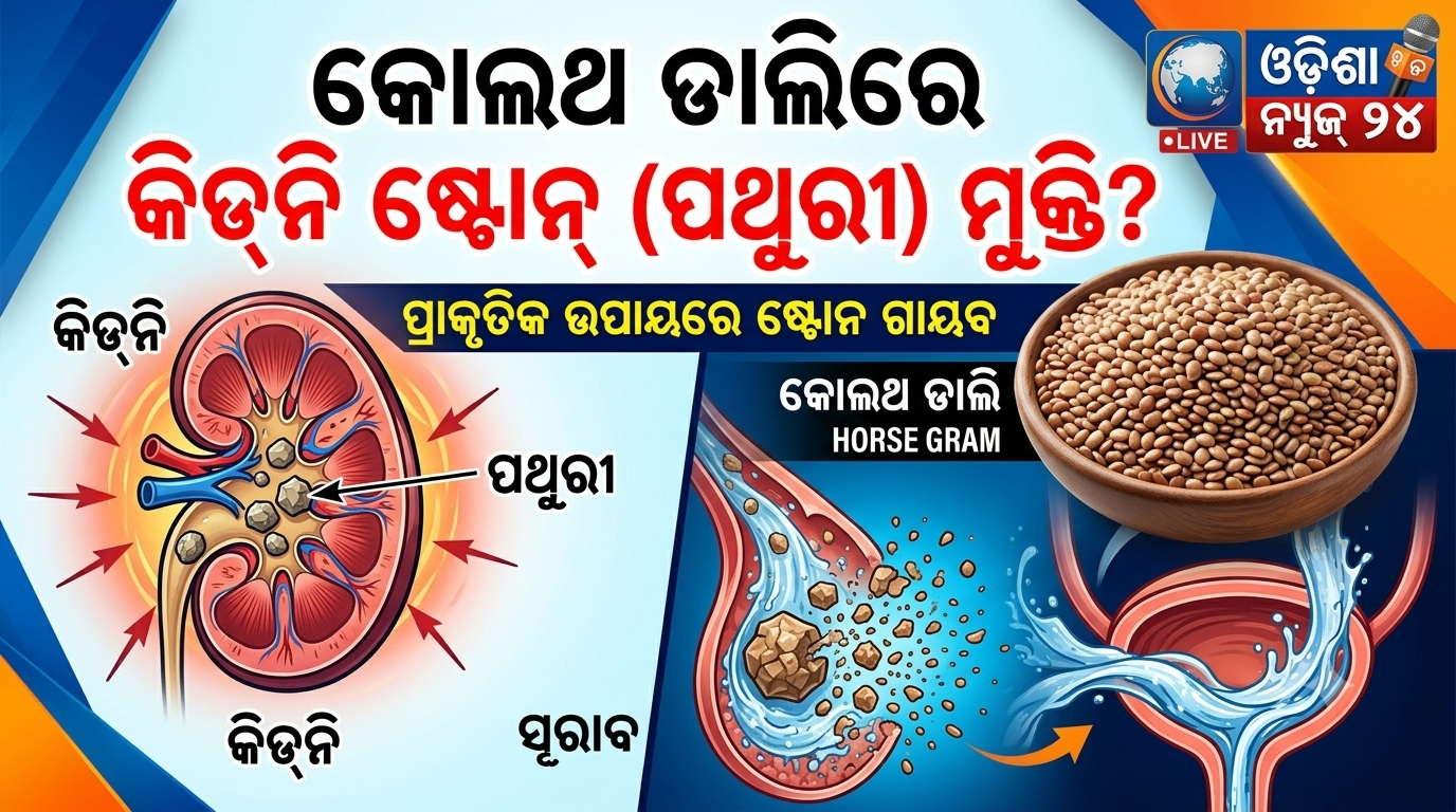 କିଡ୍‌ନି ଷ୍ଟୋନ୍ ସମସ୍ୟାରୁ ମୁକ୍ତି ଦେବ ‘କୋଲଥ ଡାଲି’: ଜାଣନ୍ତୁ ଏହାର ଅଦ୍ଭୁତ ଫାଇଦା ଓ ସେବନ ବିଧି