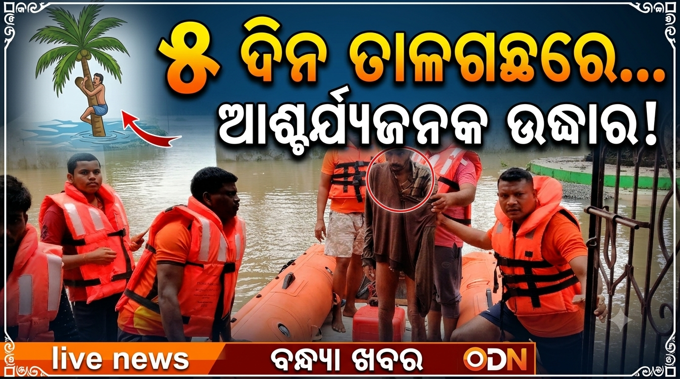 ୫ ଦିନ ପରେ ମିଳିଲେ ନିଖୋଜ ବ୍ୟକ୍ତି, ତାଳଗଛକୁ ଆଶ୍ରୟ କରି ବଞ୍ଚିଥିଲେ