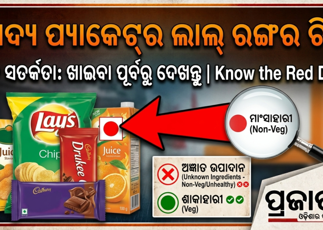 ପ୍ୟାକେଟ୍‌ରେ ଲାଲ୍‌ ଚିହ୍ନ ଦେଖିଲେ ସାବଧାନ! ଜାଣନ୍ତୁ କେଉଁ ଖାଦ୍ୟରେ କେତେ ଲୁଣ, ଚିନି ଓ ଚର୍ବି