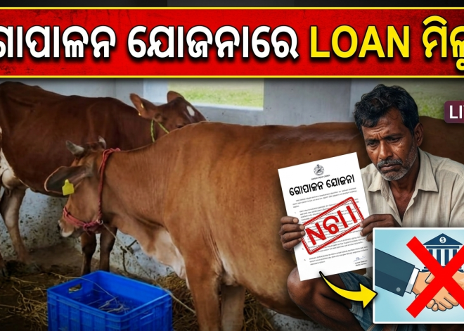 ଗୋପାଳନ ଯୋଜନାରେ ଋଣ ମିଳୁନି: ସେବା ସମବାୟ ସମିତିର ଟାଳଟୁଳ ନୀତିକୁ ନେଇ ଗୋପାଳକଙ୍କ ଅସନ୍ତୋଷ
