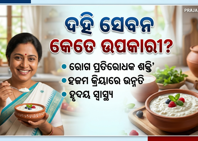 ଗର୍ଭାବସ୍ଥାରେ ଦହି ସେବନ କେତେ ଉପକାରୀ?