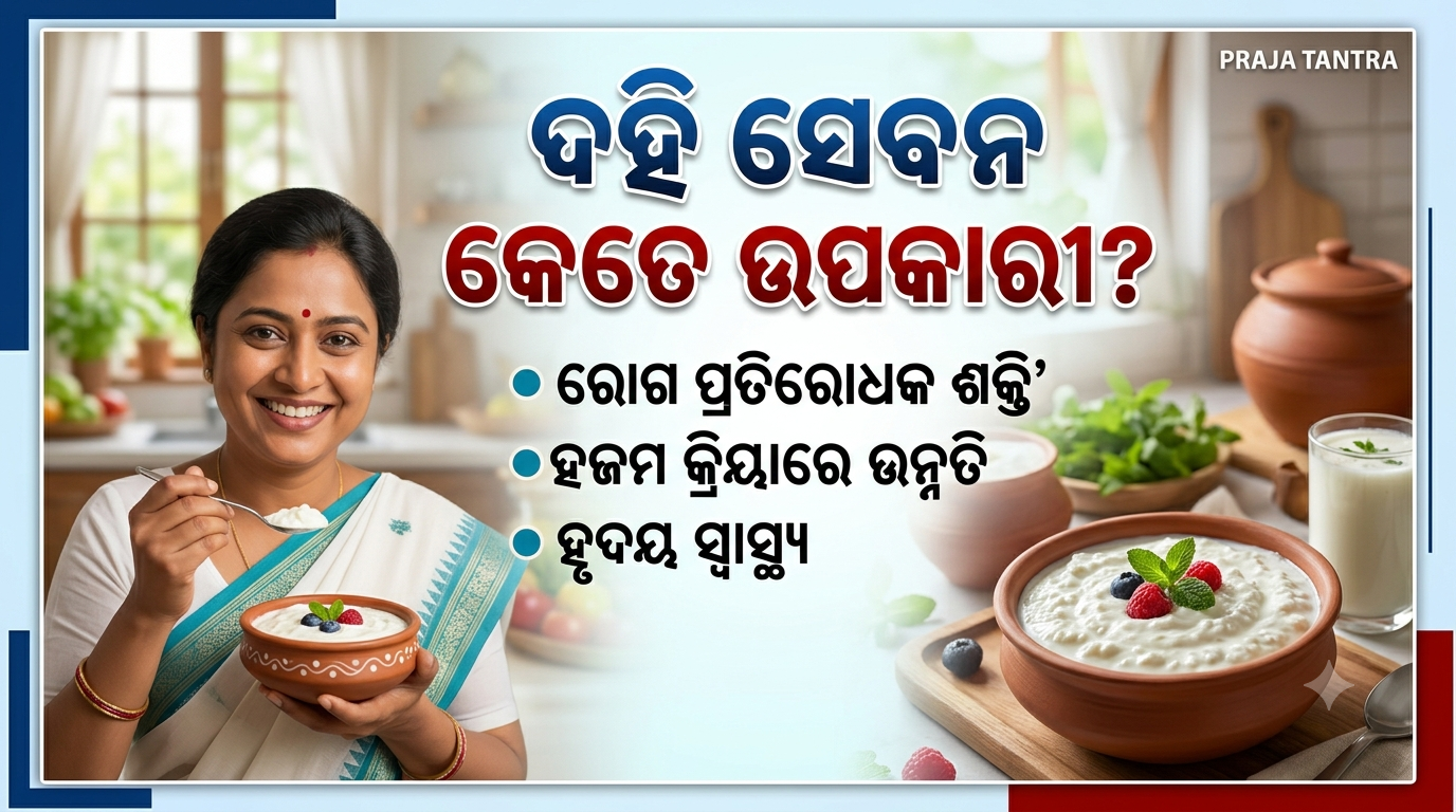 ଗର୍ଭାବସ୍ଥାରେ ଦହି ସେବନ କେତେ ଉପକାରୀ?