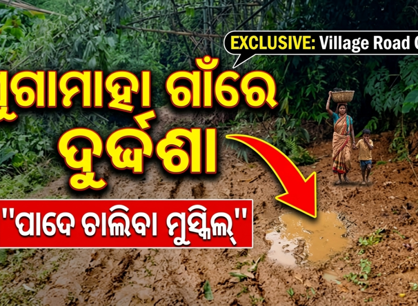 ରାସ୍ତା ନାହିଁ, ଦୋଳା ଭରସା; ସୁଗାମାହା ଗାଁରେ ବିକାଶର ଚିତ୍ର ଶୋଚନୀୟ