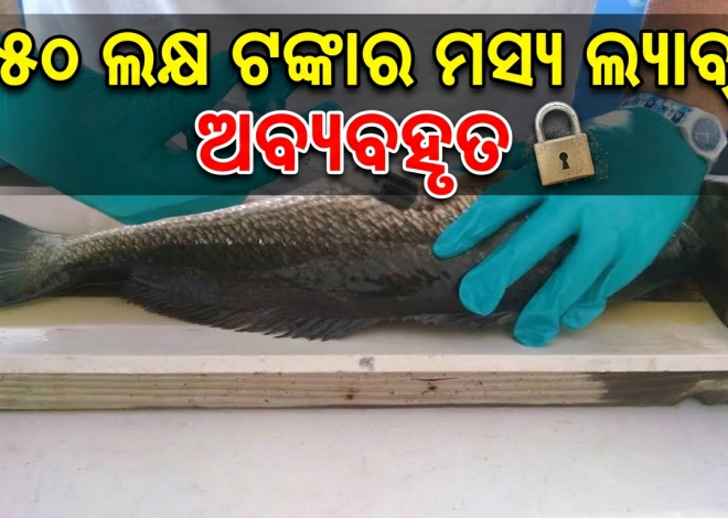 ବାଲେଶ୍ୱରରେ ୫୦ ଲକ୍ଷ ଟଙ୍କାର ମତ୍ସ୍ୟ ଲ୍ୟାବ୍‌ ଅବ୍ୟବହୃତ, ଗୋରୁ ଚରୁଛନ୍ତି ପରିସରରେ