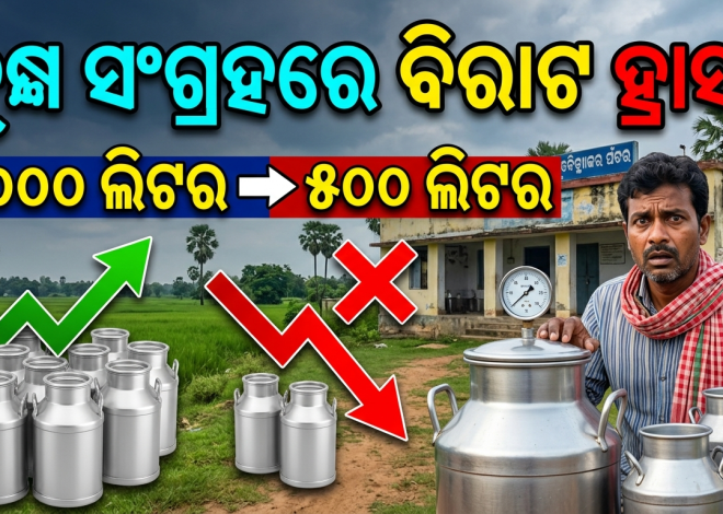 ଜରାଜୀର୍ଣ୍ଣ ଅବସ୍ଥାରେ ଦୁଗ୍ଧ ପ୍ରକ୍ରିୟାକରଣ କେନ୍ଦ୍ର